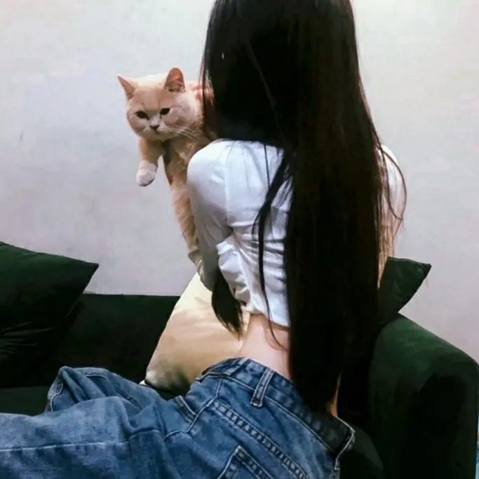 古戒奇谈