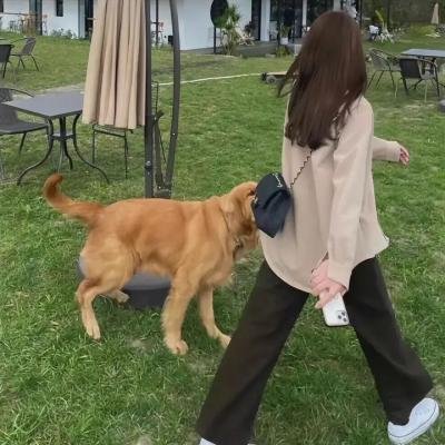 麦迪逊