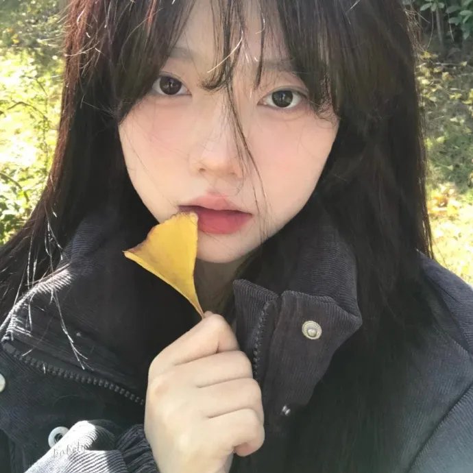 田野泪
